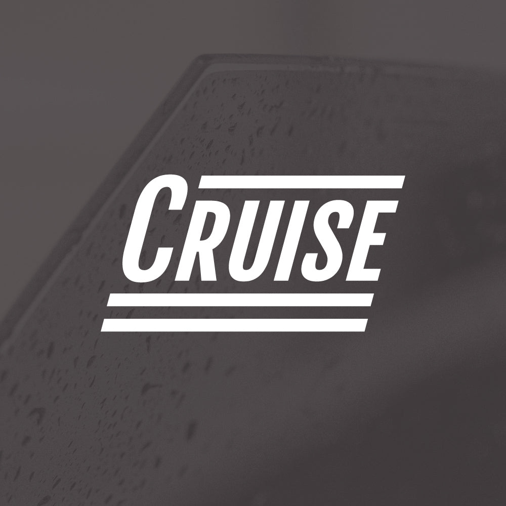 cruise window tint